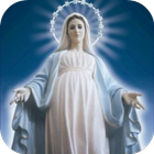 Virgen Auxiliadora biểu tượng