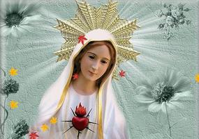 Virgen Auxiliadora captura de pantalla 3