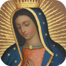 Virgen de Guadalupe Imagenes aplikacja