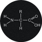 Amino Acids Quiz icône