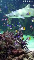 Video wallpaper: Aquarium Poster