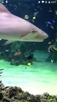 Video wallpaper: Aquarium captura de pantalla 1