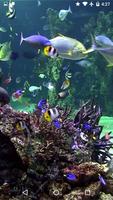 Video wallpaper: Aquarium captura de pantalla 2
