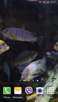 Aquarium HD Video Wallpaper 截图 2