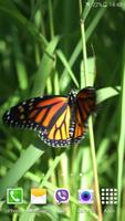 Butterfly Video Live Wallpaper ภาพหน้าจอ 2