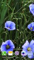 Blue Flowers Live Wallpaper screenshot 1