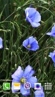 Blue Flowers Live Wallpaper screenshot 2