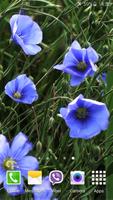 Blue Flowers Live Wallpaper screenshot 3