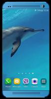 Dolphins +Sound Live Wallpaper poster