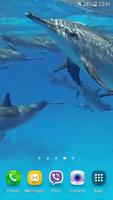 Delfines Fondos animados captura de pantalla 1