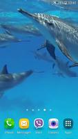 برنامه‌نما Dolphins +Sound Live Wallpaper عکس از صفحه