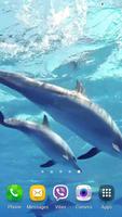 Dauphins Fond d'écran animé capture d'écran 2