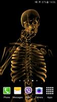 Skeleton Video Live Wallpaper โปสเตอร์