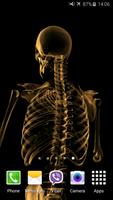 Skeleton Video Live Wallpaper ภาพหน้าจอ 2
