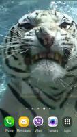 Tiger Video Live Wallpaper اسکرین شاٹ 1