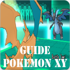 ikon Guide Pokemon XY