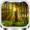 Twilight Forest Wallpaper APK