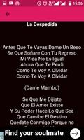 Daddy Yankee Song Lyric স্ক্রিনশট 2