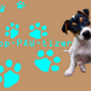 APK App Paw Tizer