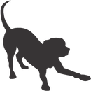 FilterFetch Mobile APK