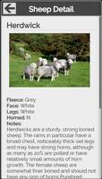 Know Your Sheep 截图 3