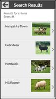 Know Your Sheep Ekran Görüntüsü 2