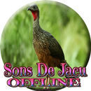 Sons do bando de Jacu APK