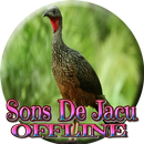 Sons do bando de Jacu APK