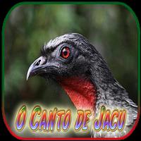 O Canto do Jacu Completo 海報