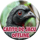 Canto de Jacu HD APK