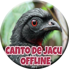 آیکون‌ Canto de Jacu HD