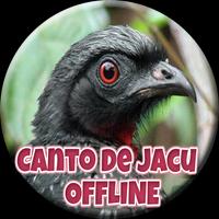 Poster Canto de Jacu HD