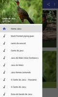 برنامه‌نما Canto de Jacu HD عکس از صفحه
