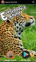Jaguar Sounds plakat