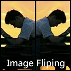 Image Flip-icoon