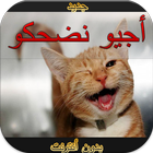 أجيو نضحكو بدون أنترنيت أيقونة
