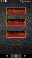 NIV Audio Bible Cartaz