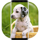 Cute Little Puppies Lock Screen icon