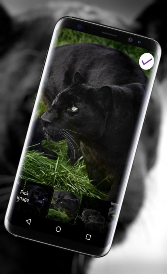 Телефон av. Пантера на экран блокировки. Экран блокировки чёрный кот. Ава на заблокированный экран с животными. Местами черный экран на телефоне.