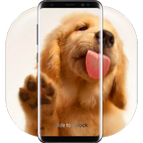 Dog Licks Lock Screen icône