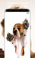 Dog Licks Lock Screen اسکرین شاٹ 3