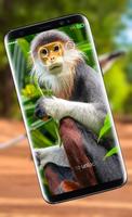 1 Schermata Funny Monkey Lock Screen