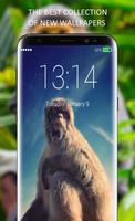 Funny Monkey Lock Screen capture d'écran 3