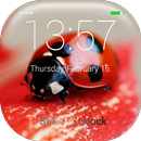 Ladybug Lock Screen APK