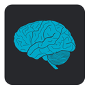 Photographic Memory APK