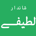 Lateefay in Urdu Funny иконка