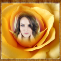 Rose Photo Frames