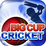 Big Cup Cricket Free