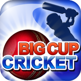 Big Cup Cricket Free icône