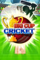 Big Cup Cricket Free Affiche